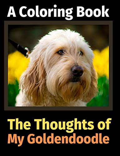 9781713344452: The Thoughts of My Goldendoodle: A Coloring Book