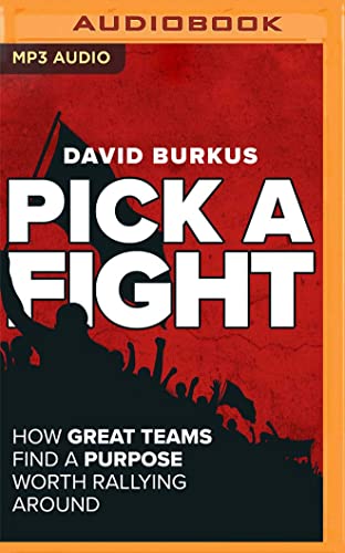 Stock image for Pick a Fight: How Great Teams Find a Purpose Worth Rallying Around for sale by Revaluation Books