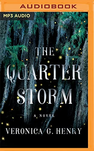 Stock image for The Quarter Storm: A Novel (Mambo Reina, 1) for sale by Half Price Books Inc.
