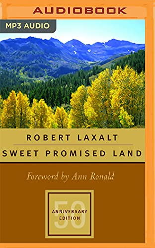 9781713644057: Sweet Promised Land