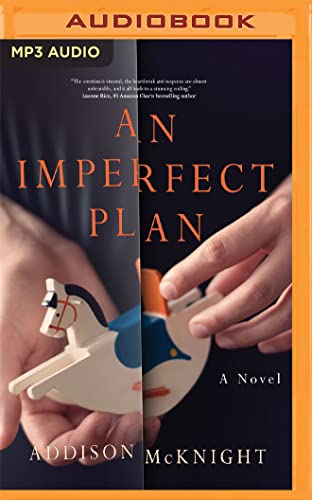 Stock image for An Imperfect Plan for sale by Revaluation Books