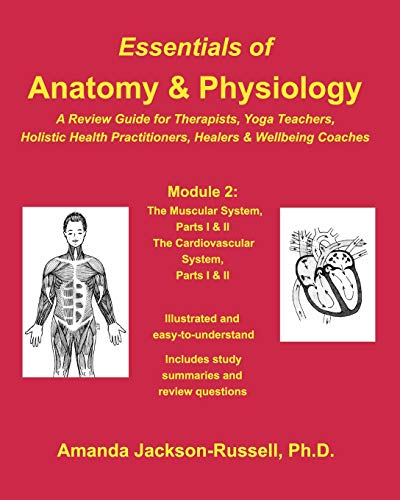 Stock image for Essentials of Anatomy and Physiology - A Review Guide - Module 2: For Therapists, Yoga Teachers, Holistic Healers & Wellbeing Coaches for sale by Chiron Media