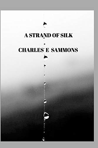9781715112059: A Strand Of Silk