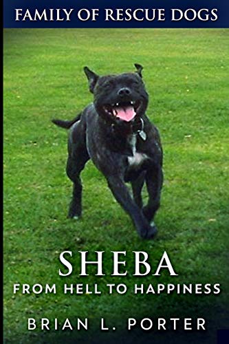 Beispielbild fr Sheba (Family of Rescue Dogs Book 2) zum Verkauf von WorldofBooks
