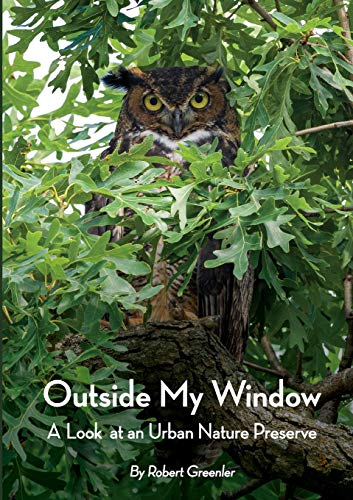 9781716027307: Outside My Window: A Look at an Urban Nature Preserve