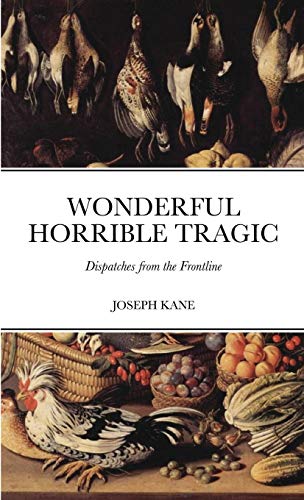 Stock image for WONDERFUL HORRIBLE TRAGIC: Dispatches from the Frontline for sale by HPB-Emerald