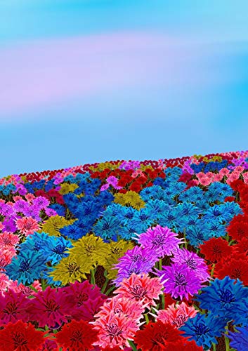 Stock image for Mindbook: Oh, my bottle flower field for sale by Lucky's Textbooks