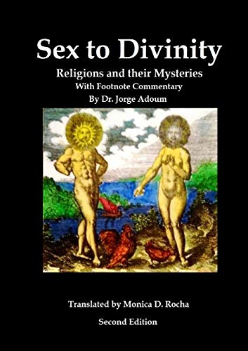 Imagen de archivo de Sex to Divinity a la venta por GreatBookPrices