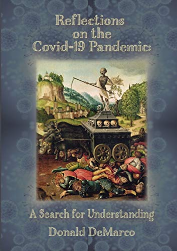Stock image for Reflections on the Covid-19 Pandemic: A Search for Understanding for sale by Lucky's Textbooks