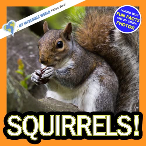 Imagen de archivo de Squirrels!: A My Incredible World Picture Book (My Incredible World: Nature and Animal Picture Books for Children) a la venta por BooksRun