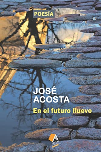 Stock image for En el futuro llueve: Accsit Premio Internacional de Poesa Casa de Teatro, 2000 (Spanish Edition) for sale by Lucky's Textbooks