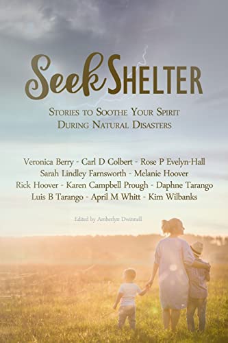 Imagen de archivo de Seek Shelter: Stories to Soothe Your Spirit During Natural Disasters a la venta por THE SAINT BOOKSTORE