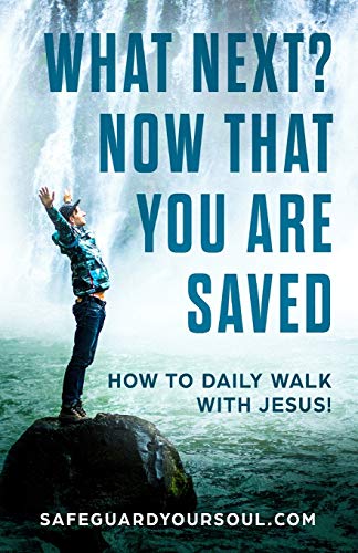 Imagen de archivo de What Next? Now that You Are Saved: How to Daily Walk with Jesus a la venta por Save With Sam
