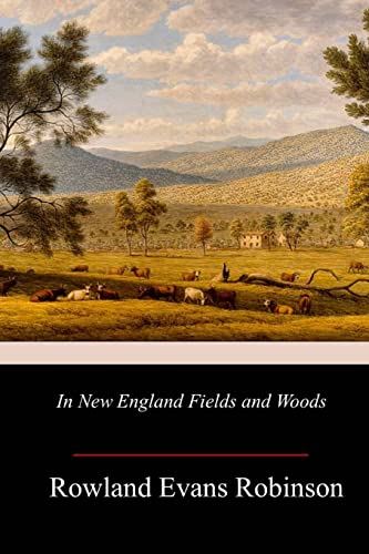 Stock image for In New England Fields and Woods for sale by THE SAINT BOOKSTORE