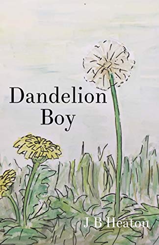 Imagen de archivo de Dandelion Boy a la venta por Revaluation Books