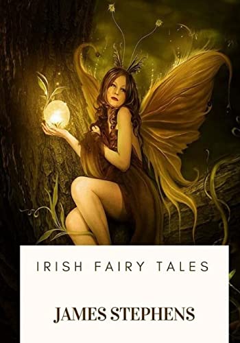 Stock image for Irish Fairy Tales for sale by Lucky's Textbooks