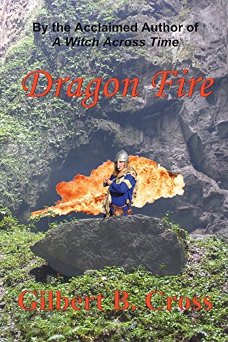 Imagen de archivo de Dragon Fire a la venta por Lucky's Textbooks