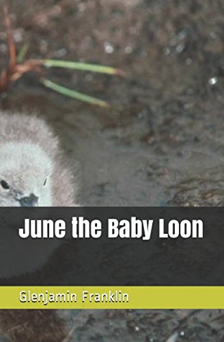 Stock image for June the Baby Loon for sale by Revaluation Books