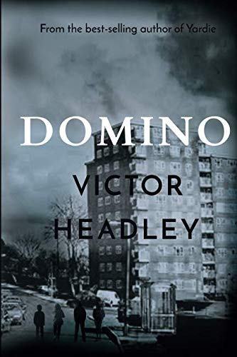 Stock image for Domino for sale by Revaluation Books