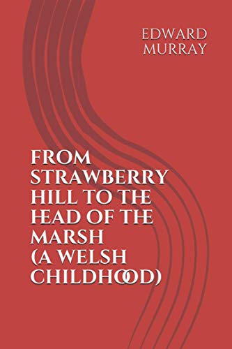 Beispielbild fr FROM STRAWBERRY HILL TO THE HEAD OF THE MARSH: A WELSH CHILDHOOD zum Verkauf von Ria Christie Collections