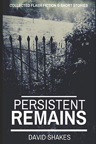 Stock image for Persistent Remains for sale by MusicMagpie