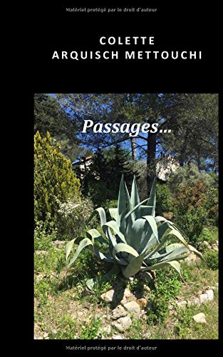 Stock image for Passages. for sale by Revaluation Books
