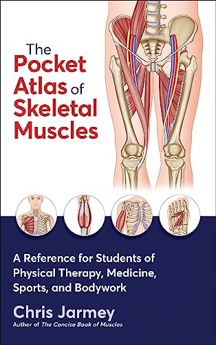 Stock image for The Pocket Atlas of Skeletal Muscles - A Reference for Students of Physical Therapy, Medicine, Sports, and Bodywork for sale by PBShop.store US