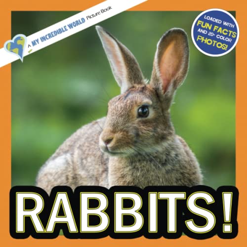 Imagen de archivo de Rabbits!: A My Incredible World Picture Book for Children (My Incredible World: Nature and Animal Picture Books for Children) a la venta por ThriftBooks-Atlanta