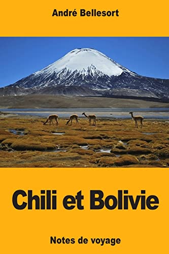 Imagen de archivo de Chili et Bolivie (French Edition) a la venta por Lucky's Textbooks