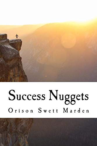 Stock image for Success Nuggets for sale by Revaluation Books