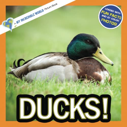 Imagen de archivo de Ducks!: A My Incredible World Picture Book for Children (My Incredible World: Nature and Animal Picture Books for Children) a la venta por Zoom Books Company