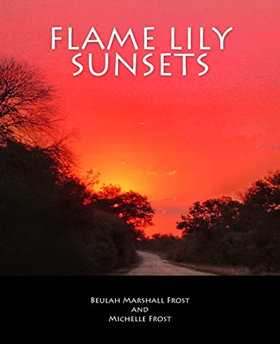 Imagen de archivo de Flame Lily Sunsets: A Rhodesian Railway Journey from Bannockburn to Malvernia in the 1950?s a la venta por MusicMagpie