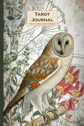 Imagen de archivo de Tarot Journal Daily One Card Draw: Owl - Beautifully illustrated 190 pages 6x9 inch notebook to record your Tarot Card readings and their outcomes. (Tarot Card Readings Journal) a la venta por Goodwill Southern California