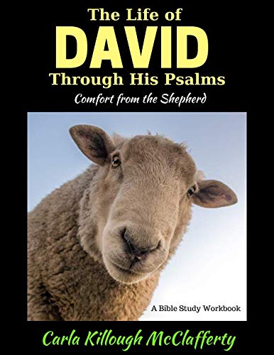 Stock image for The Life of David Through His Psalms: Comfort from The Shepherd for sale by Revaluation Books