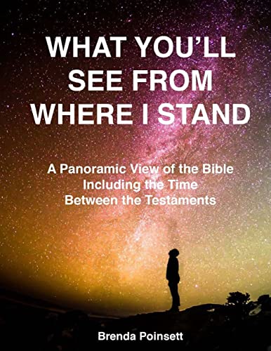 9781720323990: What You'll See From Where I Stand: A Panoramic View of the Bible Including the Time Between the Testaments