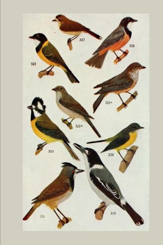 Stock image for Bird Lovers Journal for sale by Revaluation Books
