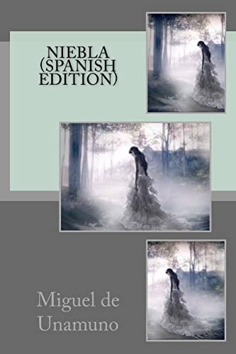 Stock image for Niebla (Spanish Edition) for sale by Lucky's Textbooks