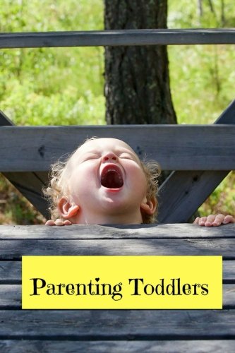 Beispielbild fr Parenting Toddlers: Toddler Behavior, Positive Parenting, Positive Discipline, Parenting Notebook,160 Lined Pages zum Verkauf von Revaluation Books