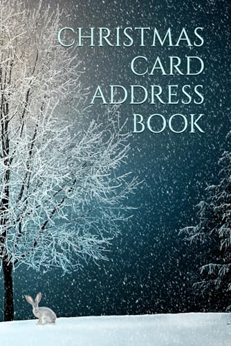 Stock image for CHRISTMAS CARD ADDRESS BOOK for sale by Revaluation Books