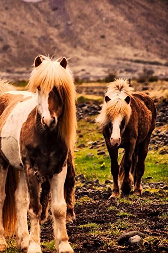 Stock image for Iceland Horses Notebook for sale by Ergodebooks