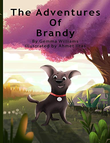 Imagen de archivo de The Adventures of Brandy a la venta por THE SAINT BOOKSTORE
