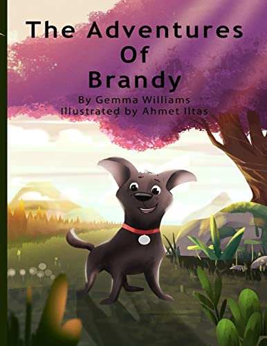 Stock image for The Adventures of Brandy for sale by THE SAINT BOOKSTORE