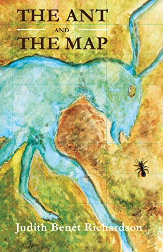 Imagen de archivo de THE ANT AND THE MAP a la venta por St Vincent de Paul of Lane County