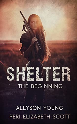 Stock image for Shelter: The Beginning for sale by HPB Inc.