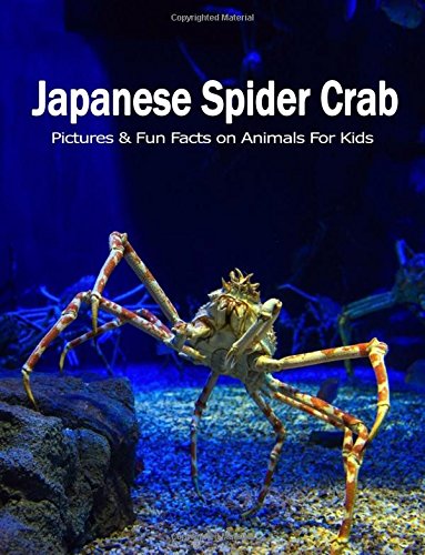 Beispielbild fr Japanese Spider Crab: Pictures and Fun Facts on Animals for Kids (Amazing Creature Series) zum Verkauf von WorldofBooks