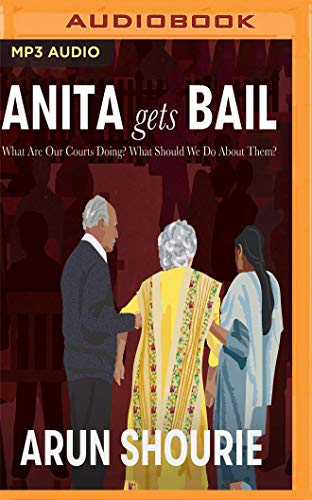 Stock image for Anita Gets Bail: What Are Our Courts Doing? What Should We Do about Them? for sale by Buchpark