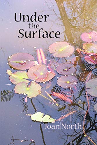 Stock image for Under the Surface for sale by THE SAINT BOOKSTORE