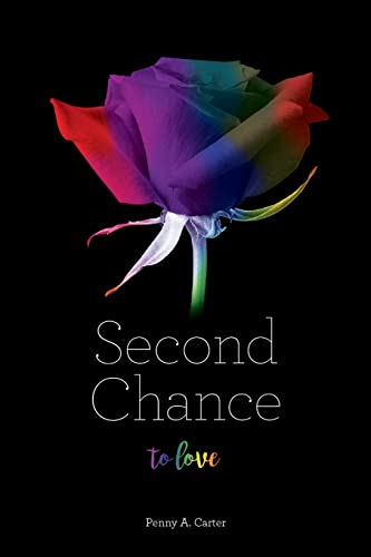 Stock image for Second Chance To Love for sale by THE SAINT BOOKSTORE