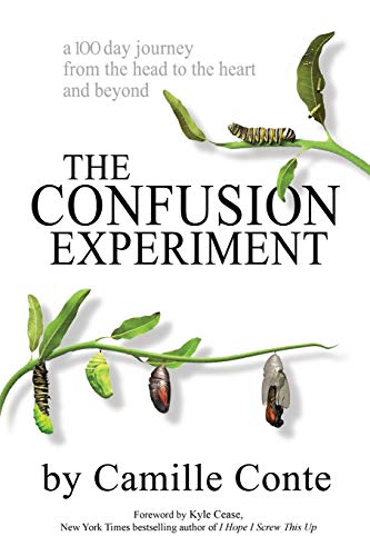 Stock image for The Confusion Experiment : A 100 Day Journey from the Head to the Heart and Beyond for sale by Better World Books