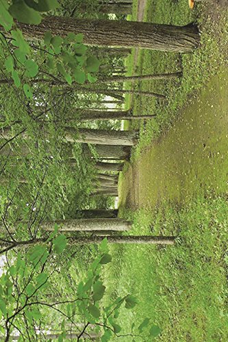 9781722990596: Nature Path Through a Latvia Park with Lovely Trees Journal: 150 page lined notebook/diary